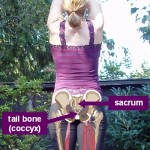 The sacrum is above the tail bone.